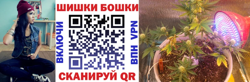 где купить наркоту  Алатырь  Канабис планчик 